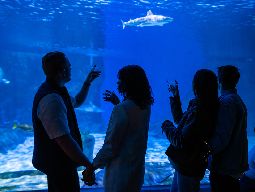 Guests enjoying the Aquarium after hours