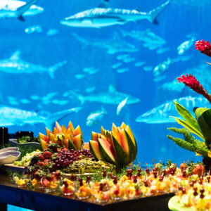 Fruit spread in front of shark habitat