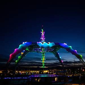 Aquarium After Dark