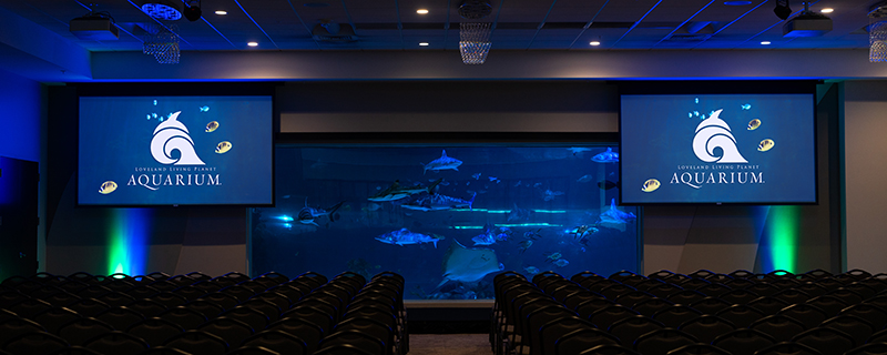 Large ballroom venue with view of sharks.