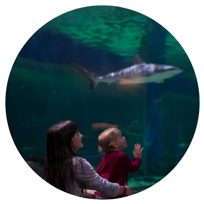 Mother and child enjoying the aquarium