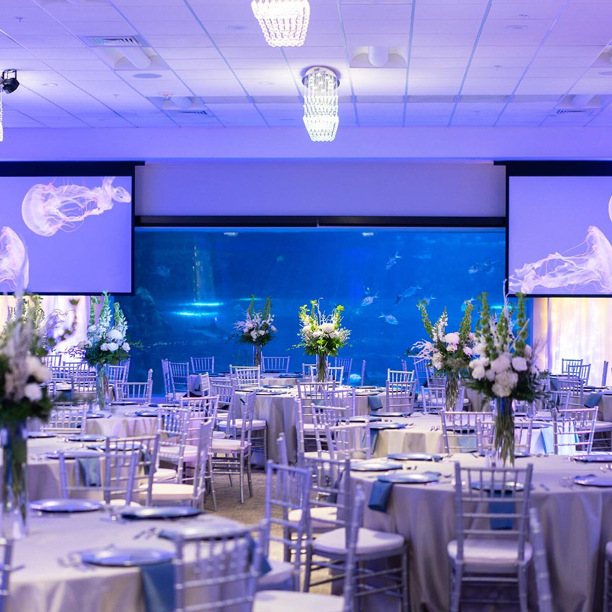 event venue ballroom at draper aquarium