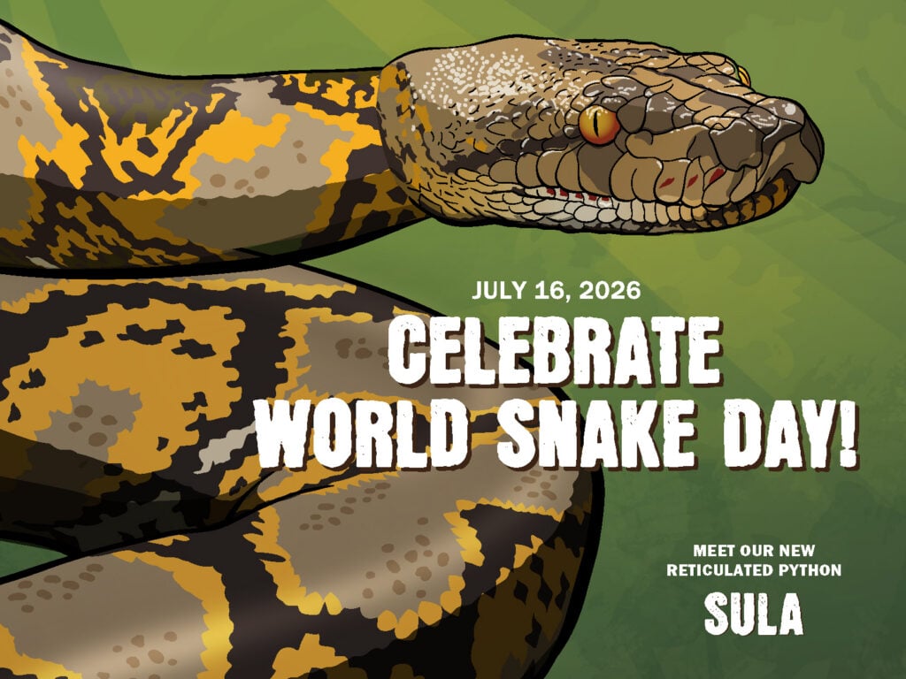 World Snake Day