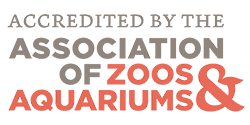 Accredited by the Association of Zoos and Aquariums badge