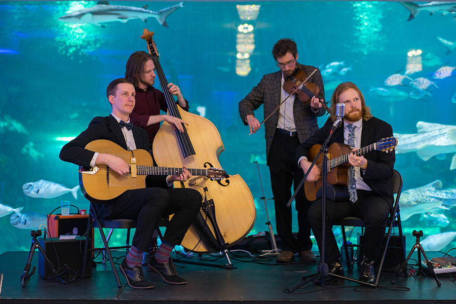 Music group playing in front of the shark gallery