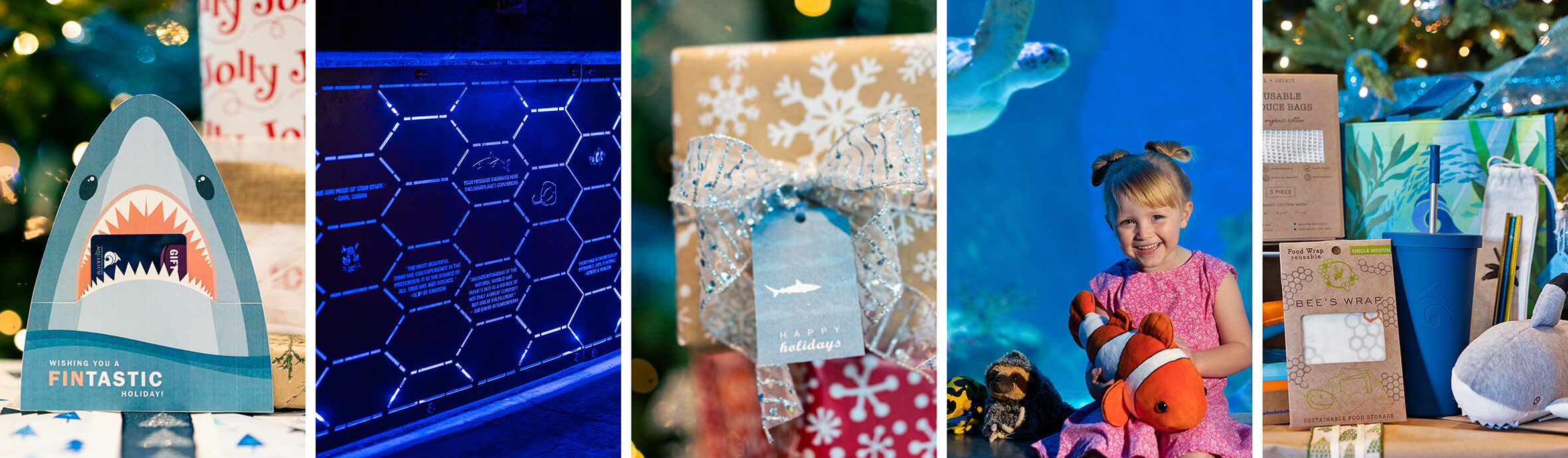 Gift Guide | Loveland Living Planet Aquarium