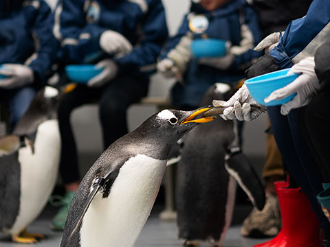 Animal Encounters | Loveland Living Planet Aquarium