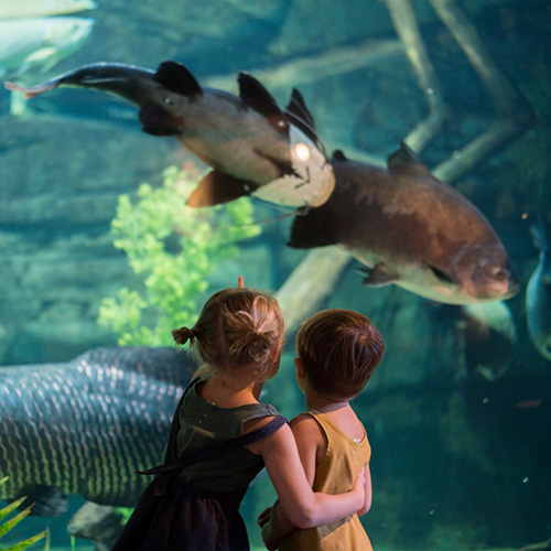 Loveland Living Planet Aquarium Duo Membership