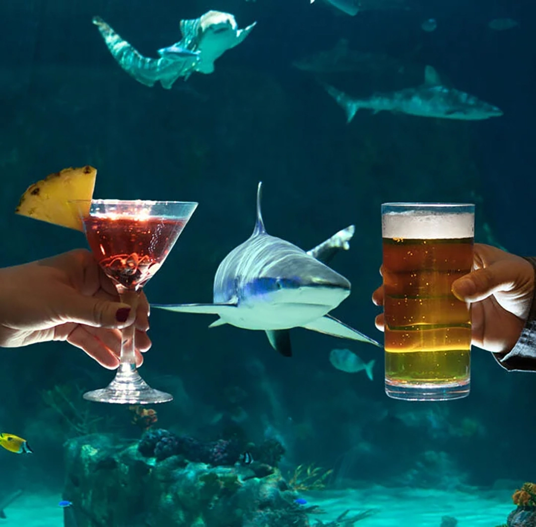 Cocktails in front of the shark tank at Sharks After Dark