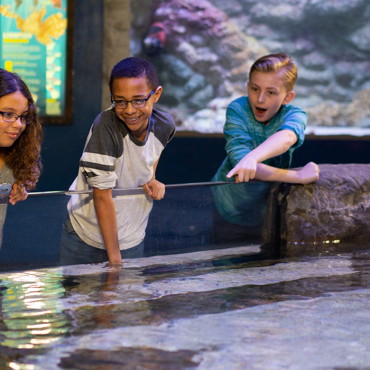 Animal Encounters | Loveland Living Planet Aquarium