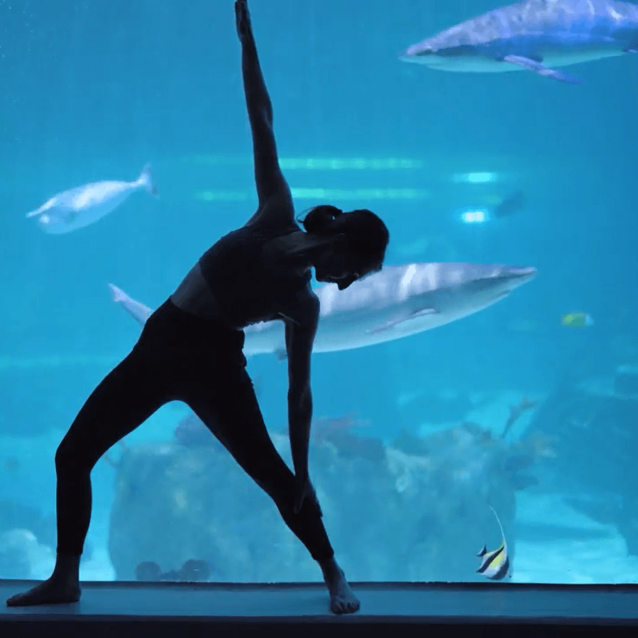 Yoga with the sharks